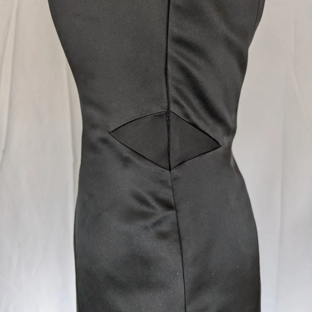 The Danes New York (Robert Danes) Custom Cocktail Dress - Picture 5 of 7
